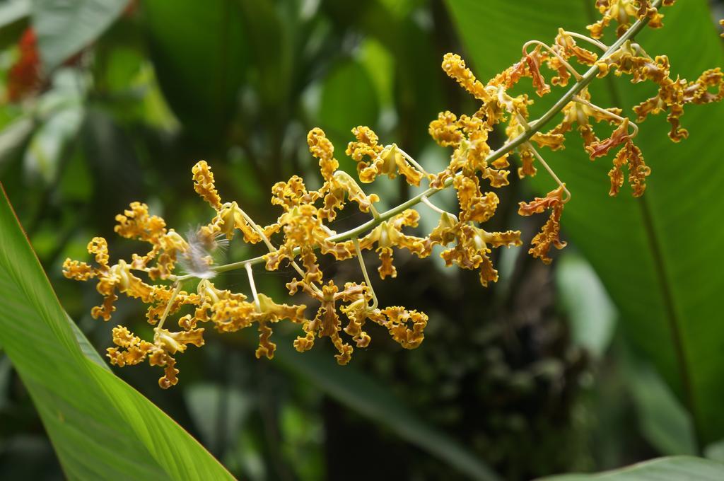 Raintree Lodge Port Moresby Esterno foto
